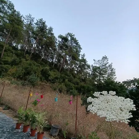 Doga Icinde Ferah Yasam * 穆拉